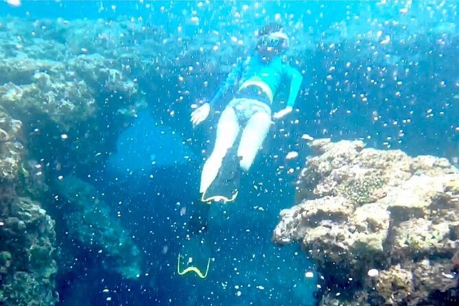 🏖️ 도모리 해안(토모리 카이간)